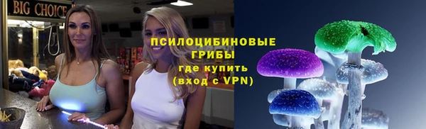 хмурый Алексеевка