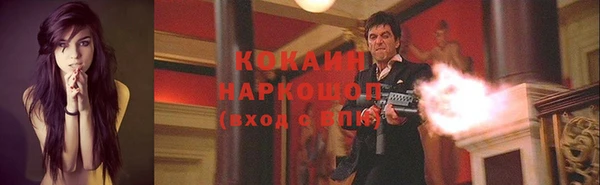 гидра Алексин