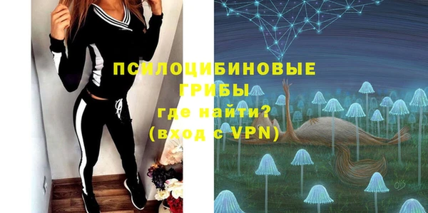 хмурый Алексеевка